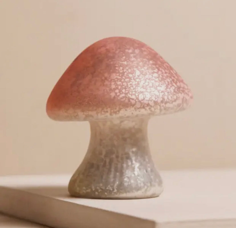 Glass Mushroom Light