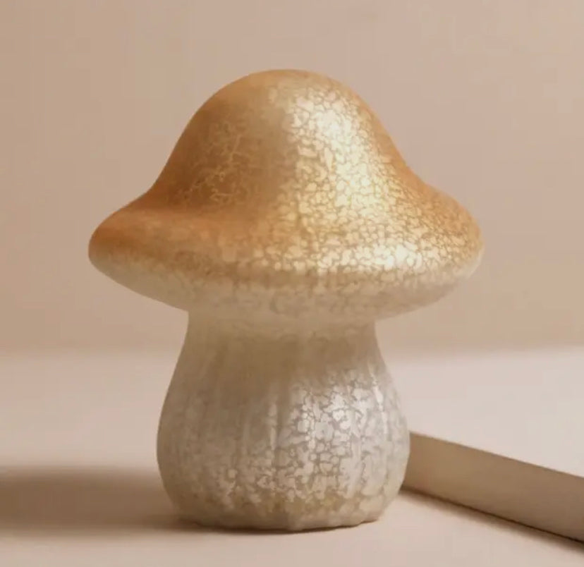 Glass Mushroom Light