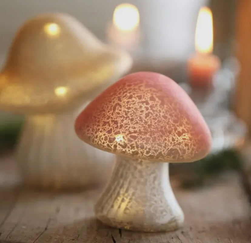 Glass Mushroom Light