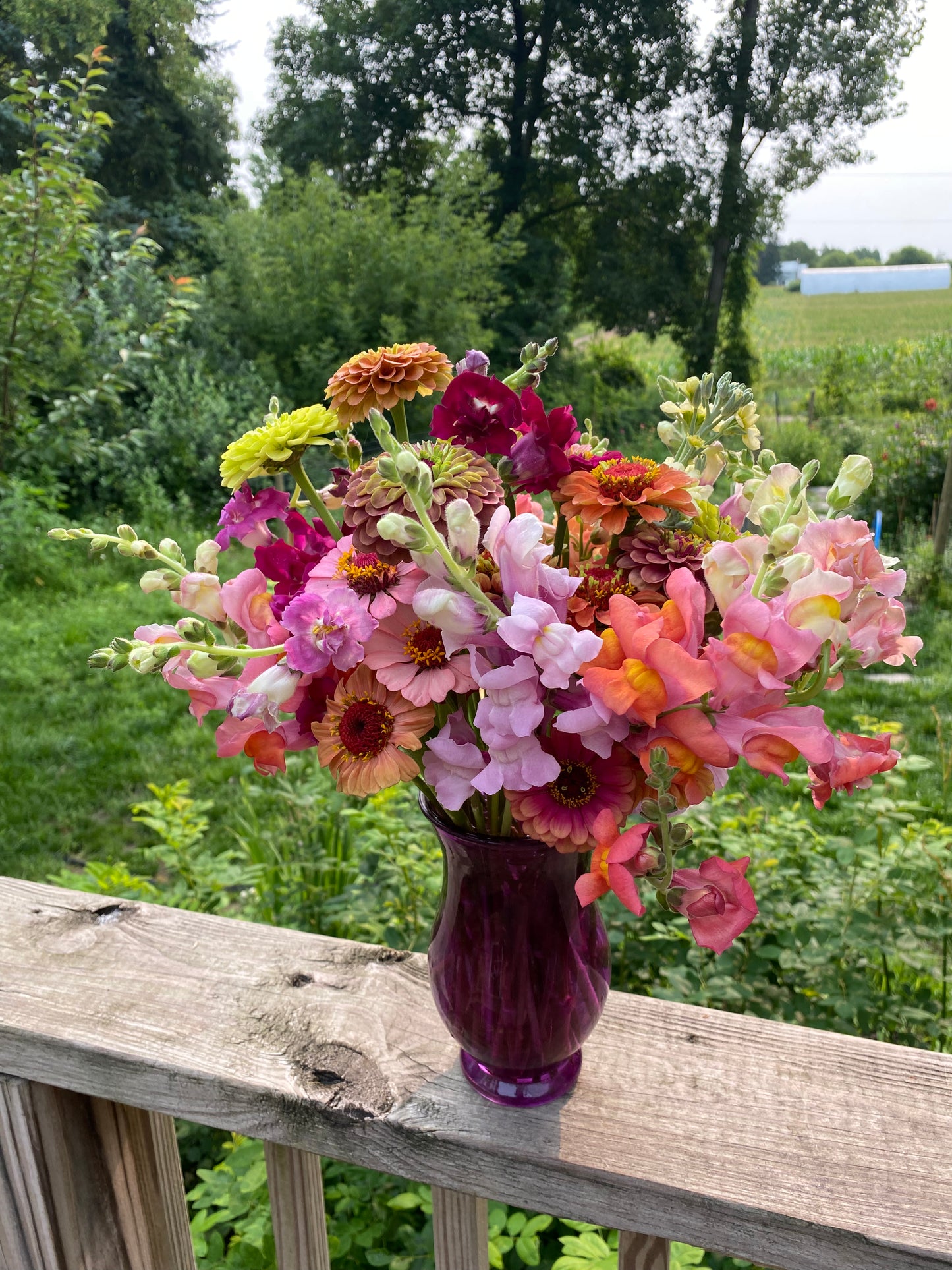 Large Single Bouquet - Fresh Cut Local + Seasonal Flower Bouquets