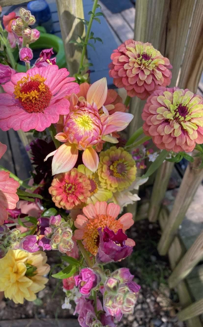 2024 Weekly Cut Flower Subscriptions (Local Pick Up/Delivery)