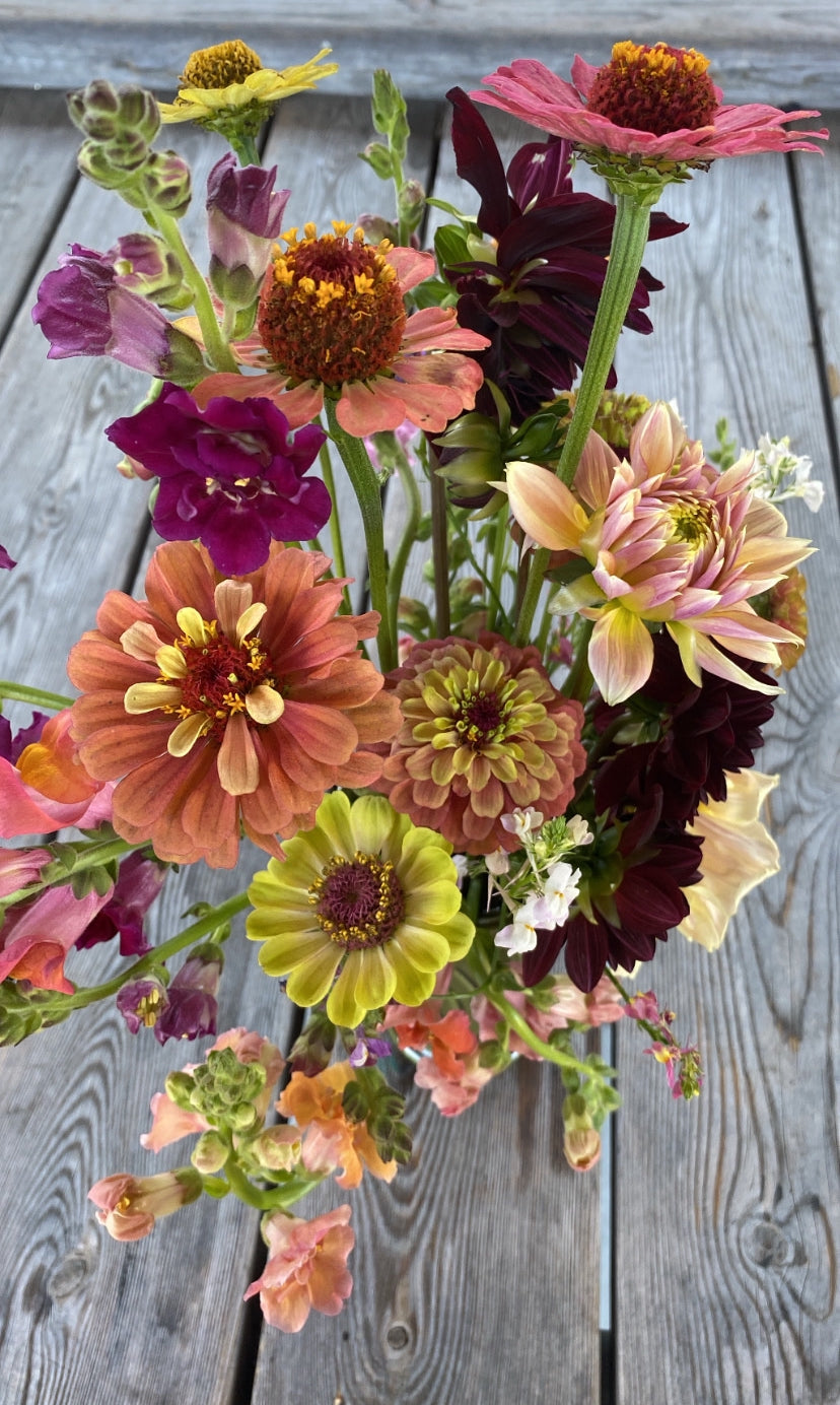 2024 Weekly Cut Flower Subscriptions (Local Pick Up/Delivery)