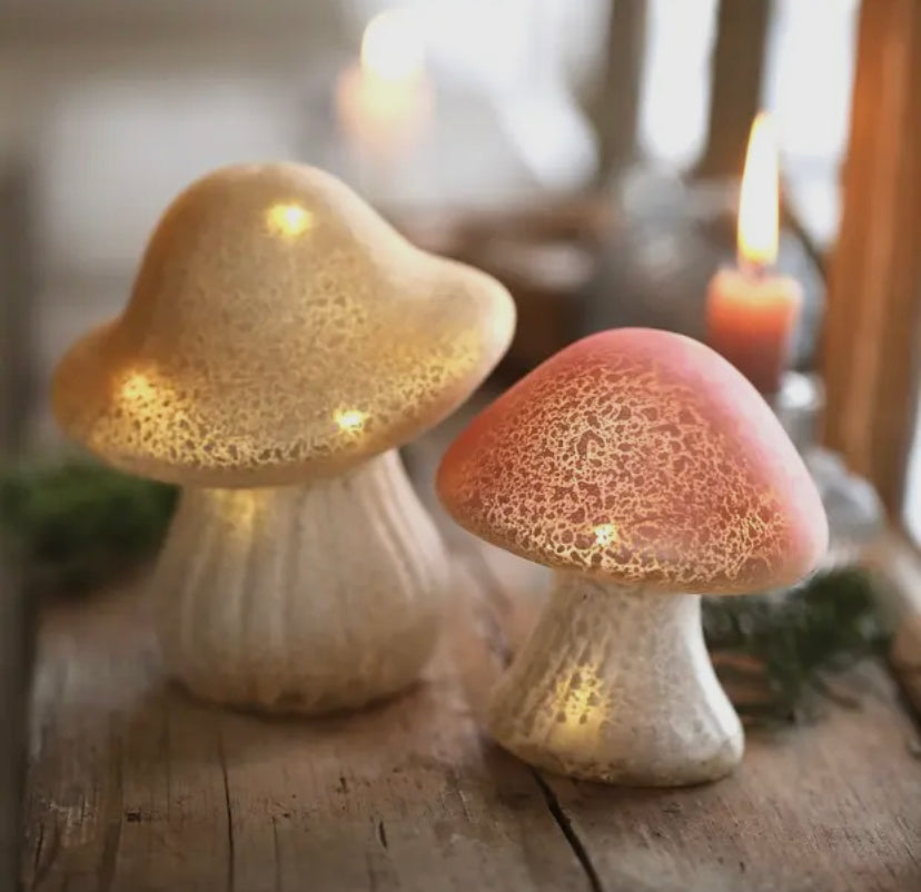 Glass Mushroom Light