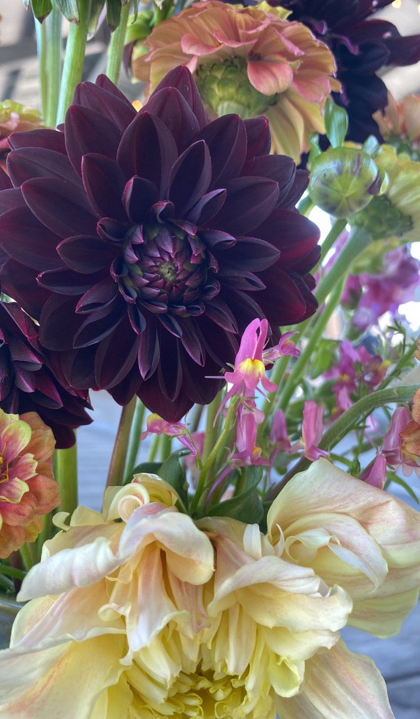 2024 Weekly Cut Flower Subscriptions (Local Pick Up/Delivery)
