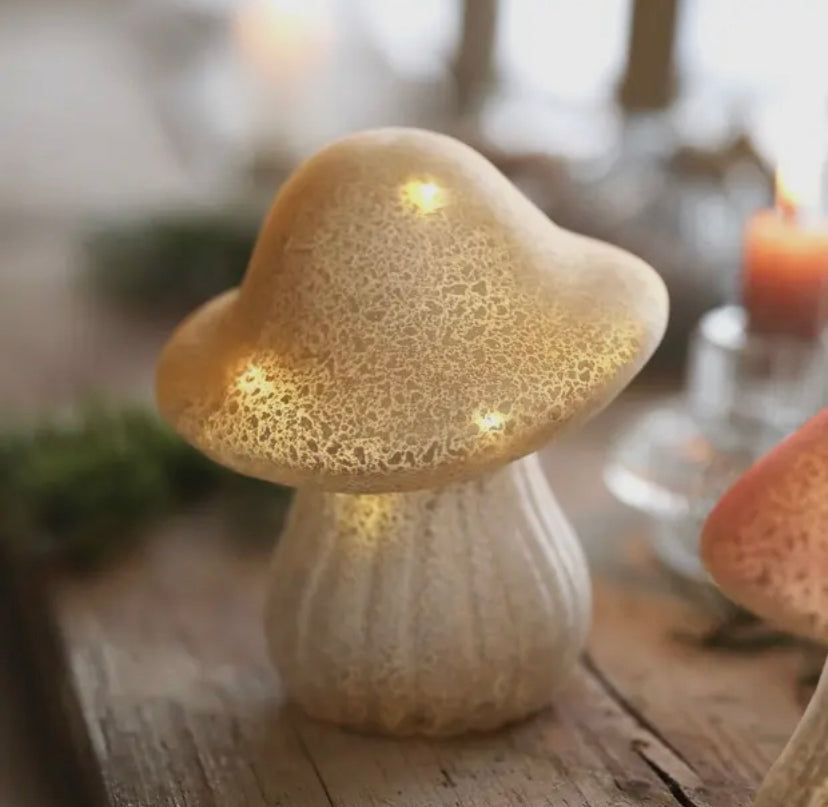 Glass Mushroom Light