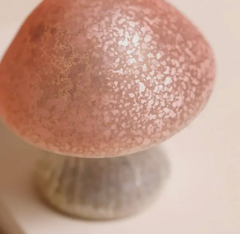 Glass Mushroom Light