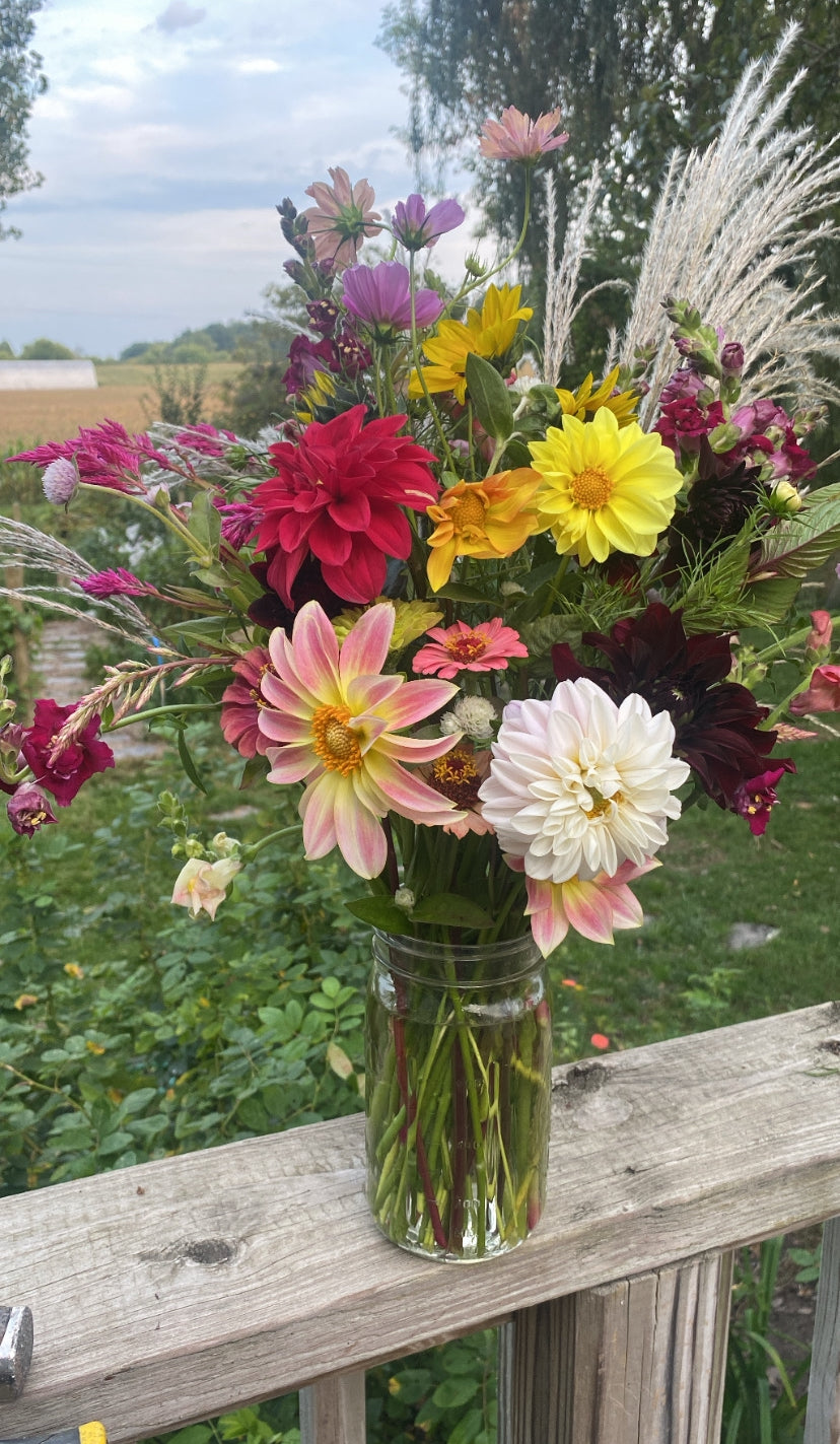2024 Weekly Cut Flower Subscriptions (Local Pick Up/Delivery)