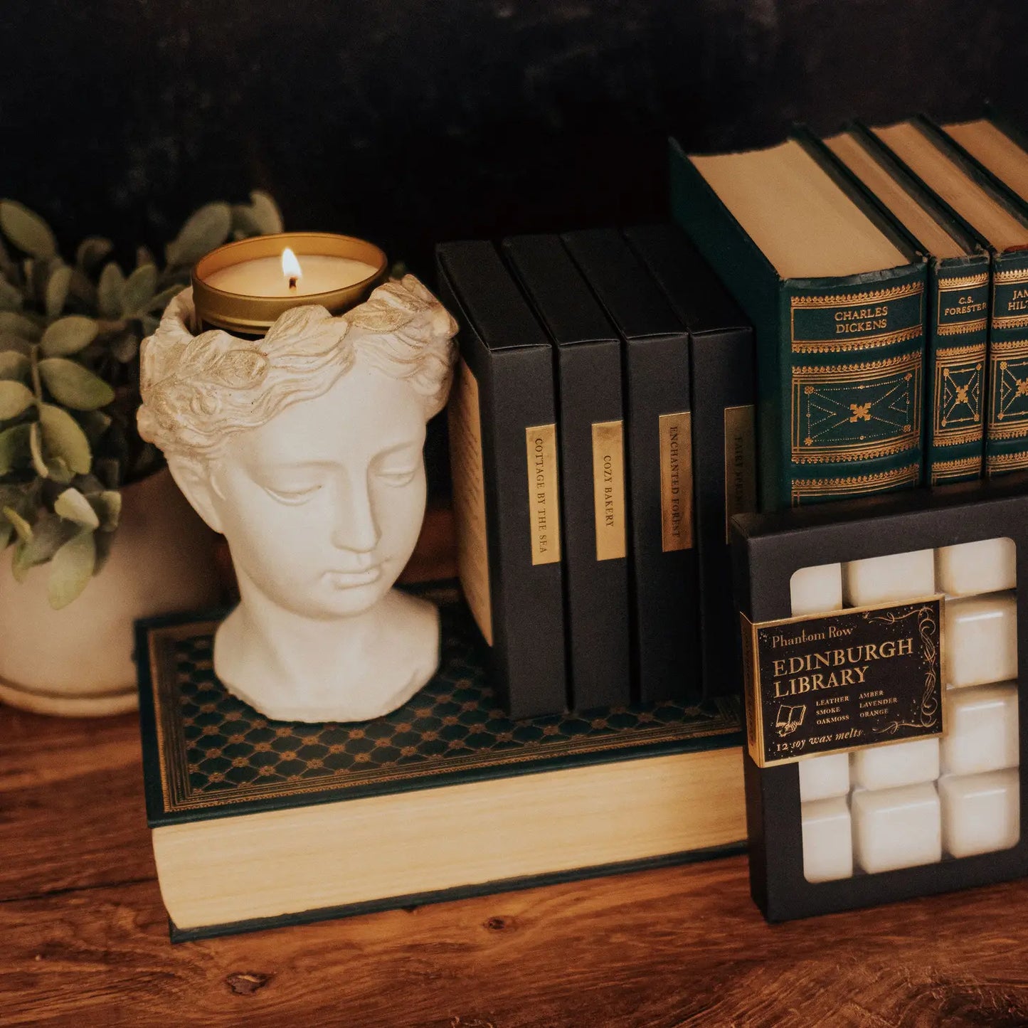 Phantom Row Soy Wax Melts