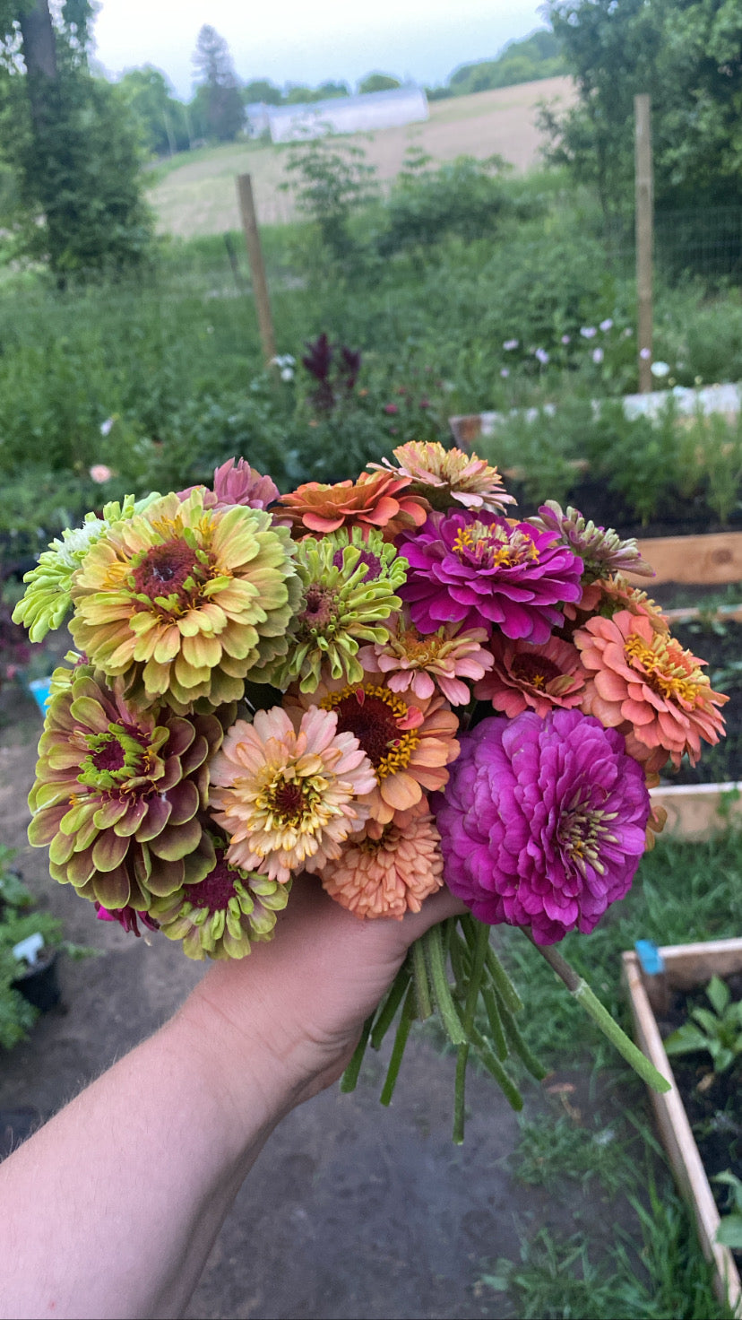 Summer Monthly Flower Subscriptions (4 Bouquets)