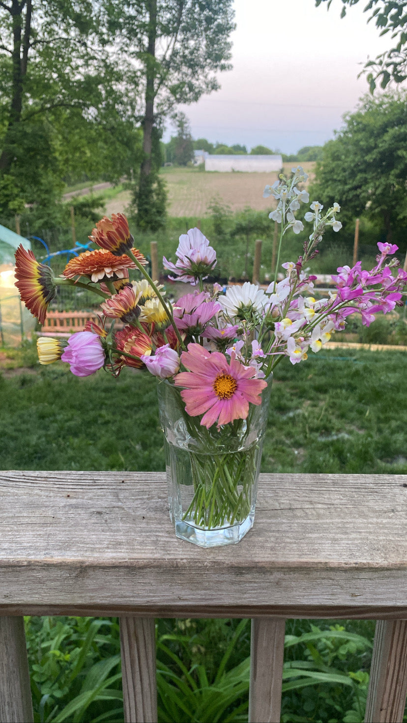 Summer Monthly Flower Subscriptions (4 Bouquets)