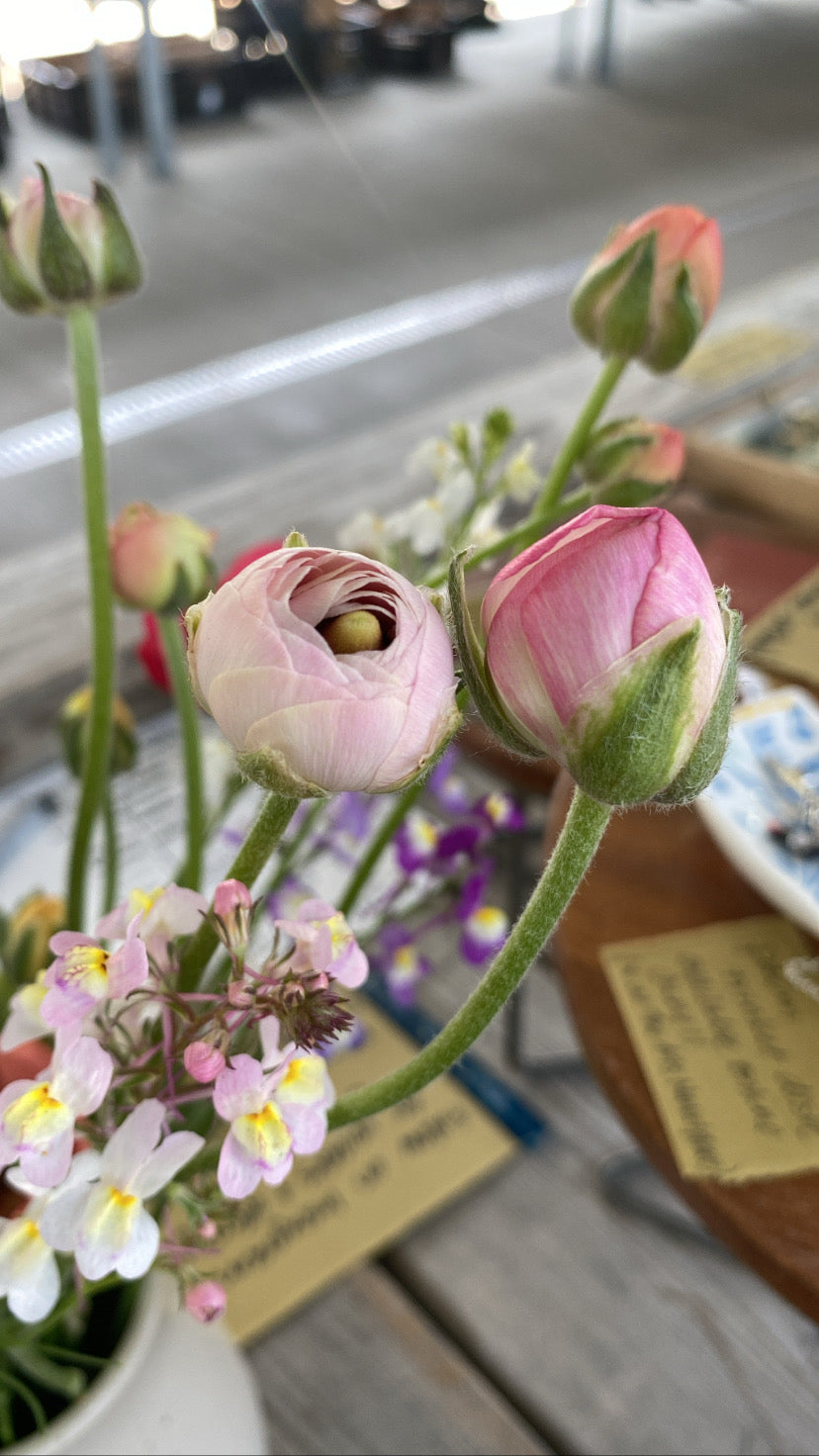 Summer Monthly Flower Subscriptions (4 Bouquets)