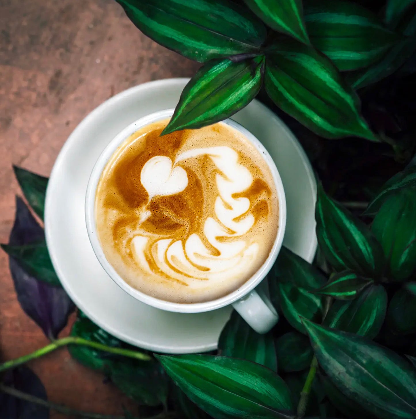 Activism / Golden Mylk Superbrew