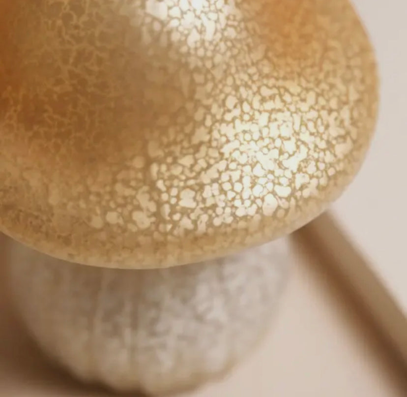 Glass Mushroom Light