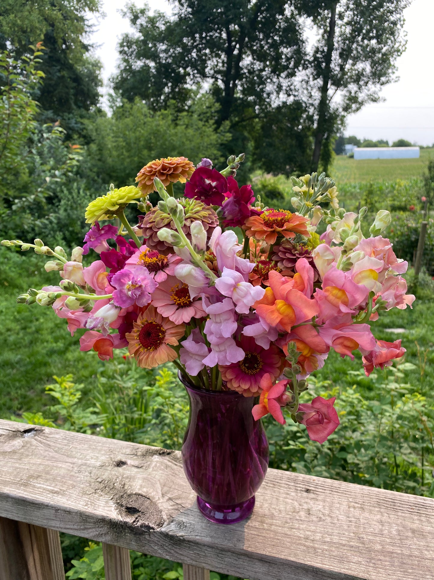 Medium Single Bouquet- Fresh Cut Local & Seasonal Flower Bouquets