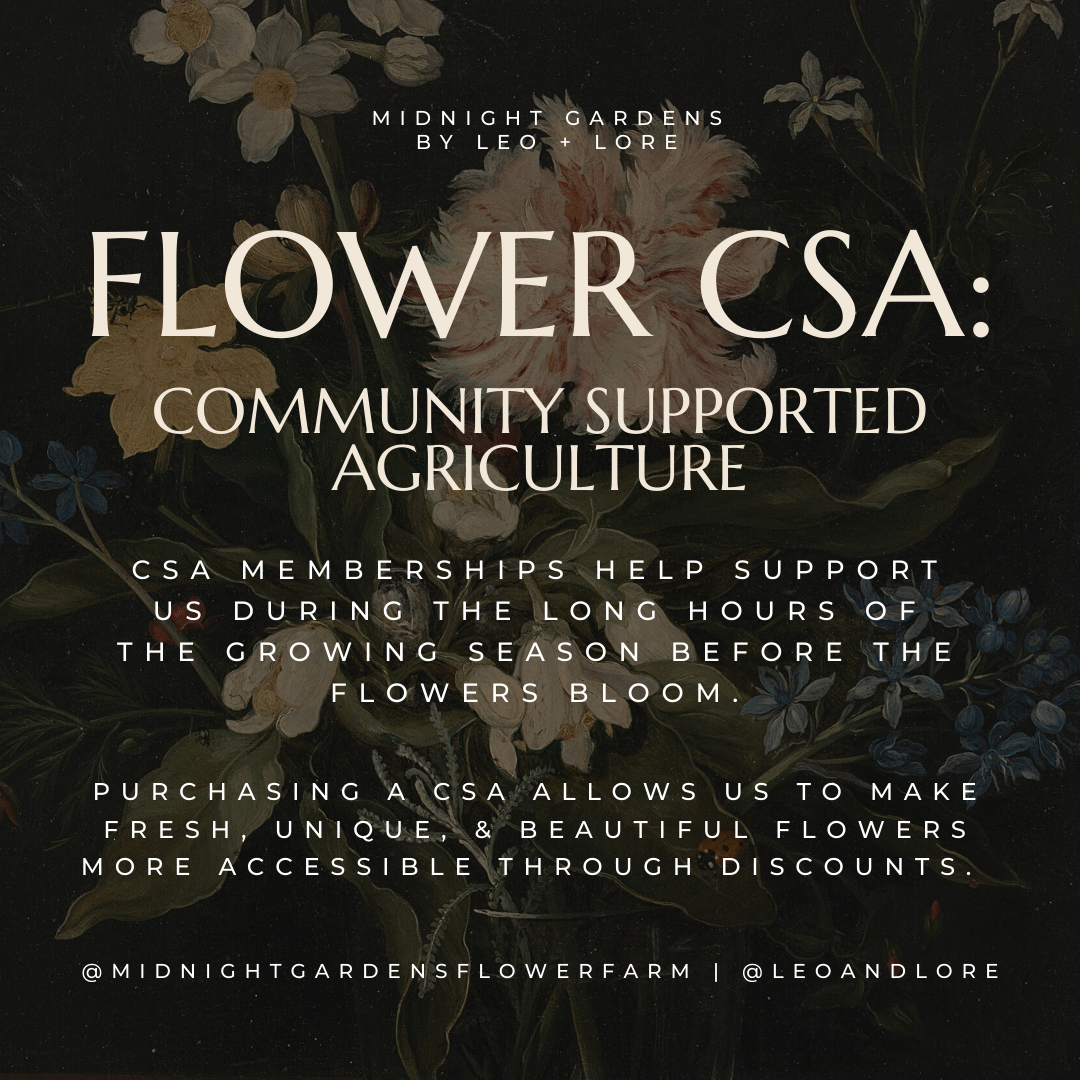 The Queen - 2024 Custom/Flexible Flower CSA Membership - Medium Bouquets