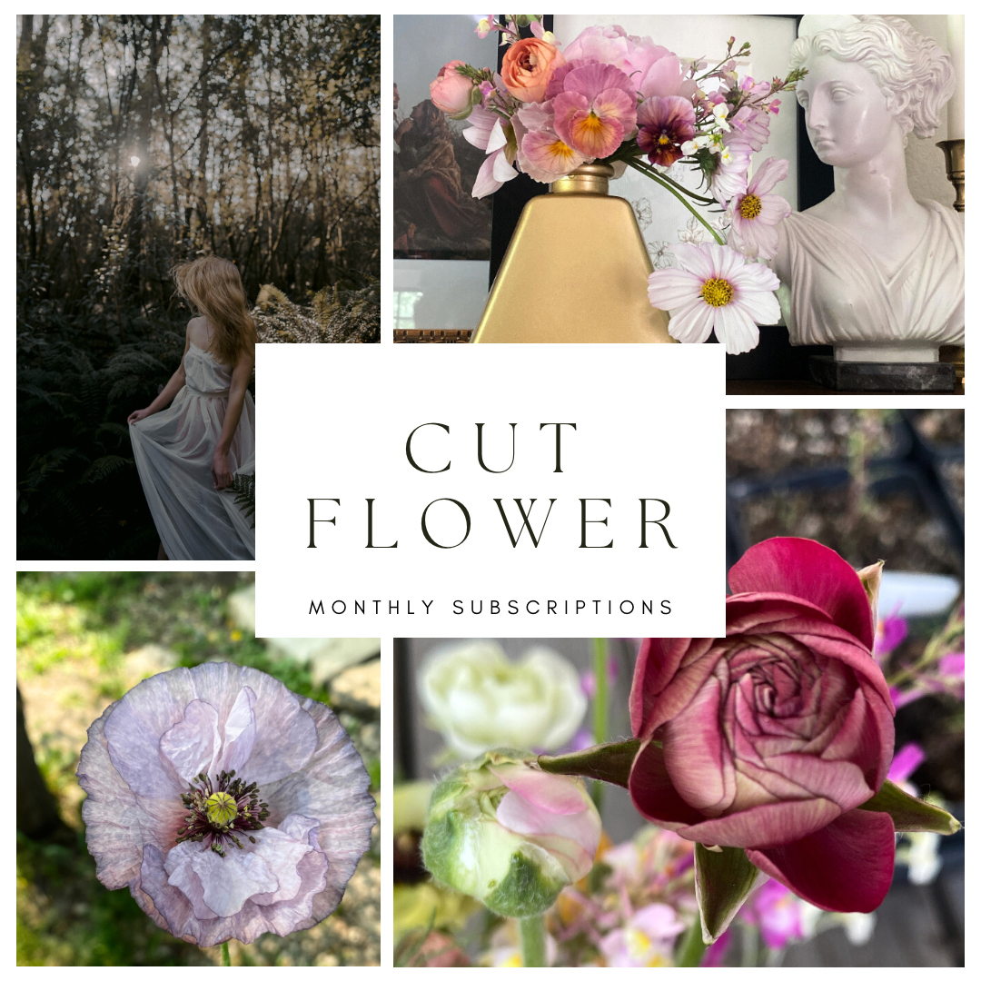 Summer Monthly Flower Subscriptions (4 Bouquets)